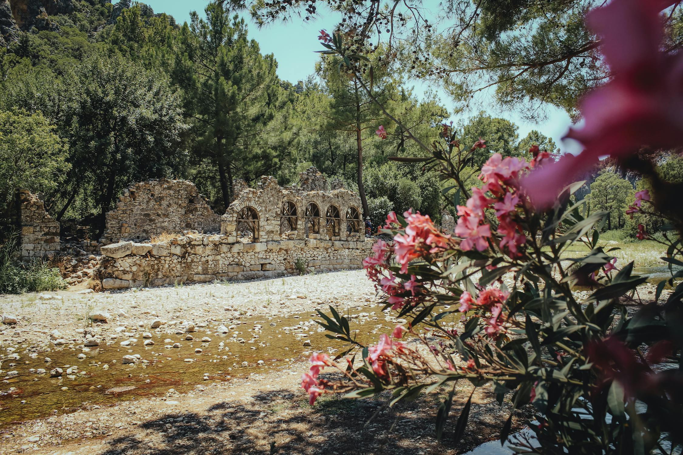 Park Narodowy Olympos-Beydağları (Olympos-Beydağları Milli Parkı)