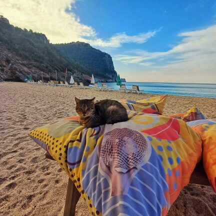 Alanya na luzie wycieczka1