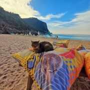 Alanya na luzie wycieczka1